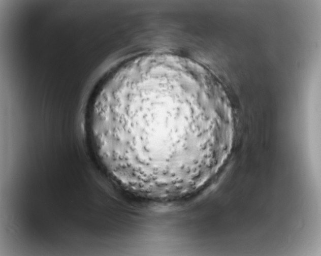 X0000089760246200707201948