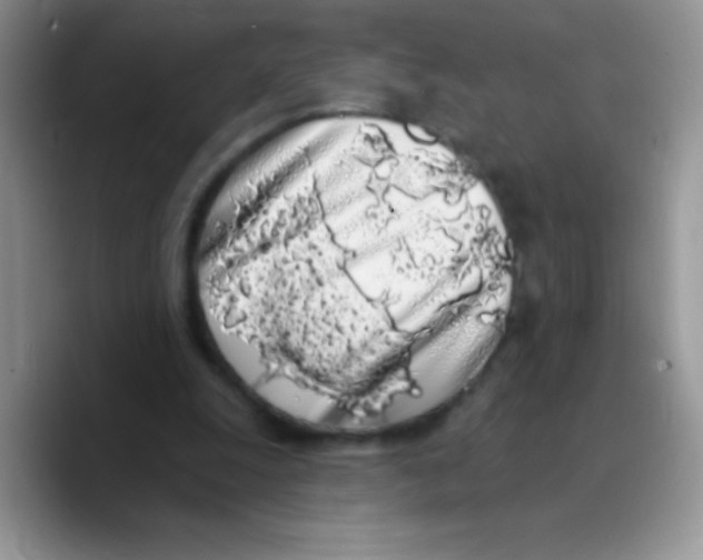 X0000089760247200707201948