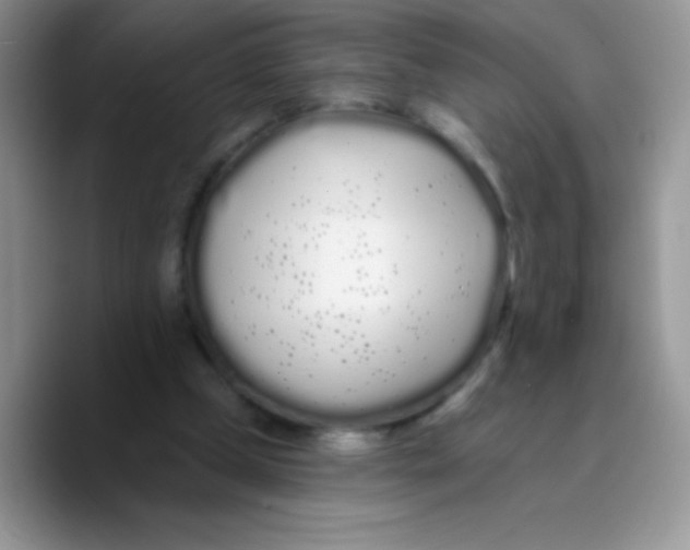 X0000089760249200707201948