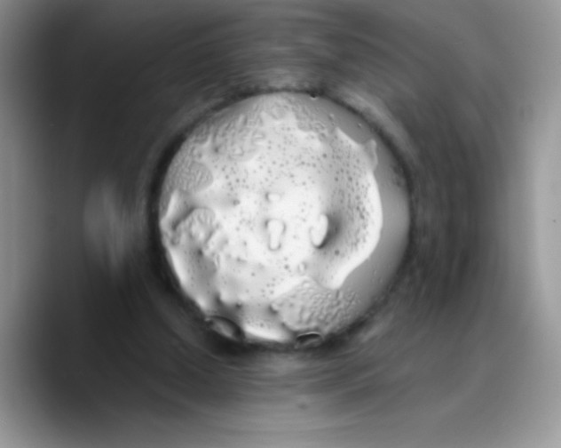 X0000089760250200707201948