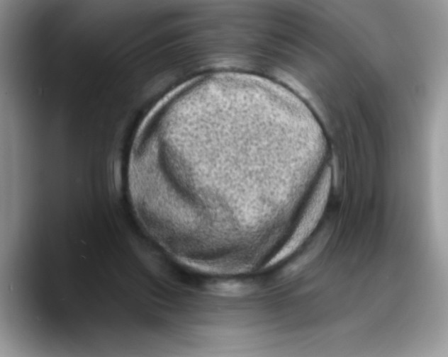 X0000089760253200707201948