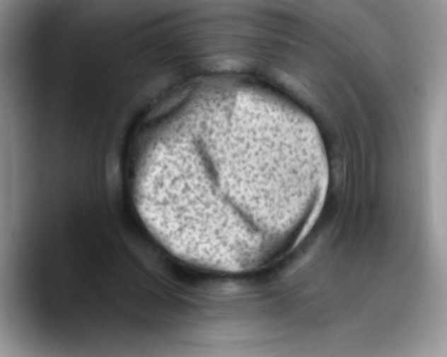 X0000089760254200707201948
