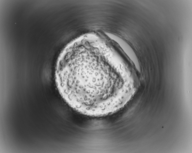 X0000089760255200707201948
