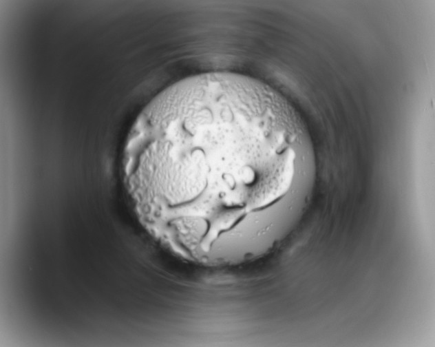 X0000089760258200707201948