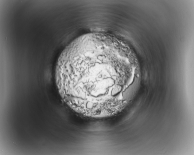 X0000089760259200707201948