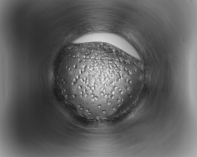X0000089760260200707201948