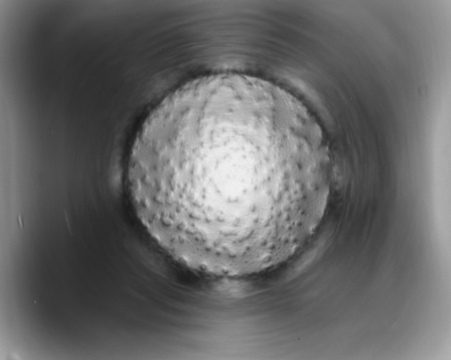 X0000089760261200707201948