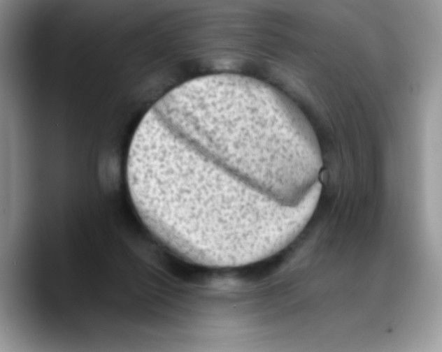 X0000089760262200707201948