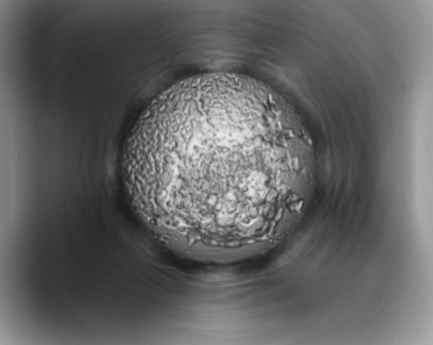 X0000089760263200707201948