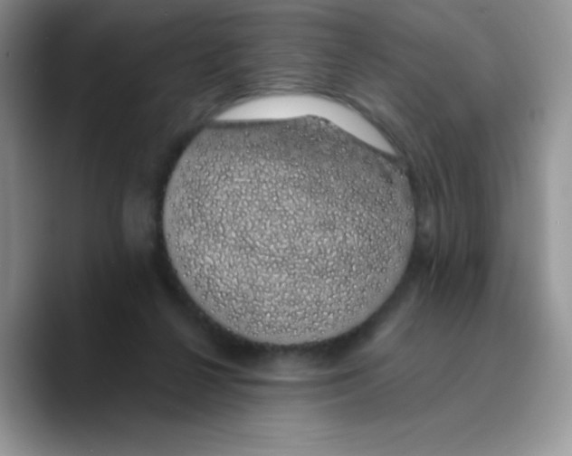 X0000089760264200707201948