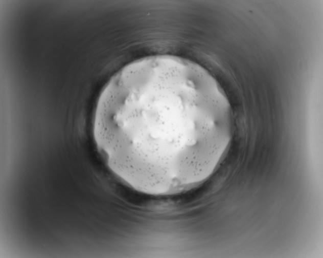 X0000089760266200707201948