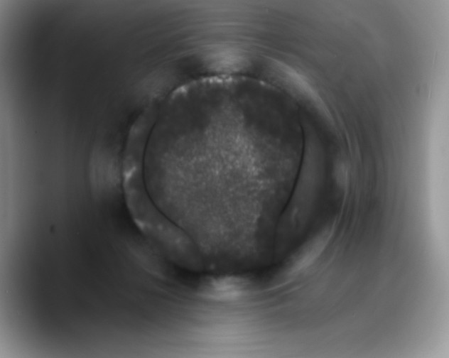 X0000089760268200707201948