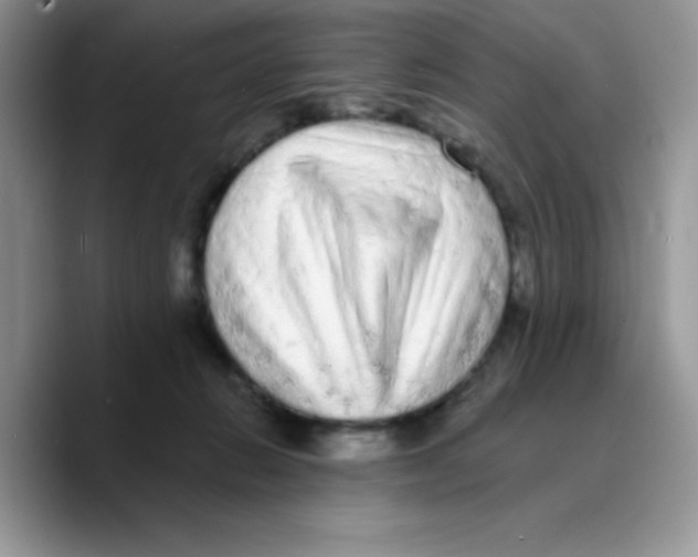 X0000089760270200707201948
