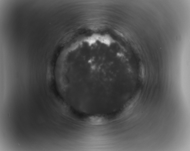 X0000089760272200707201948