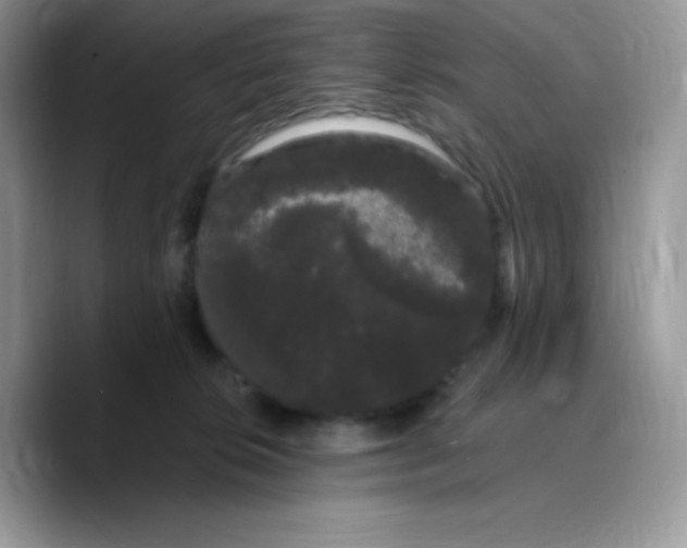X0000089760276200707201948
