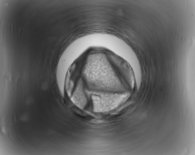 X0000089760280200707201948