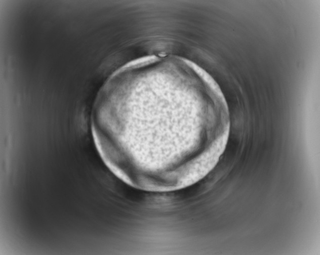 X0000089760282200707201948