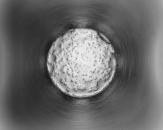 X0000089760283200707201948