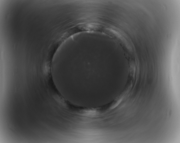 X0000089760284200707201948