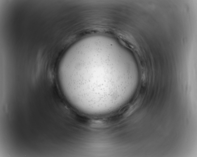 X0000089760285200707201948