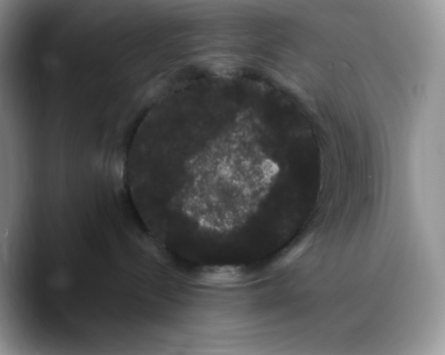 X0000089760288200707201948