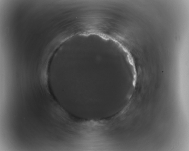 X0000089760290200707201948