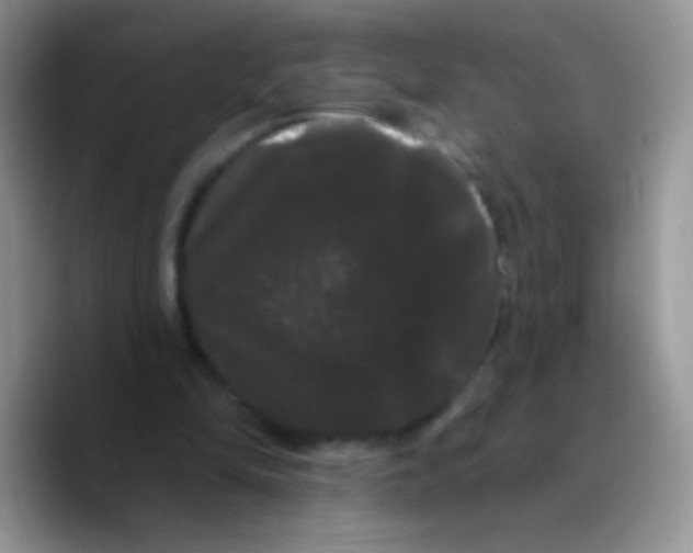 X0000089760294200707201948