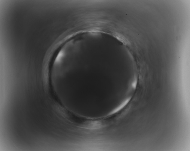 X0000089760295200707201948