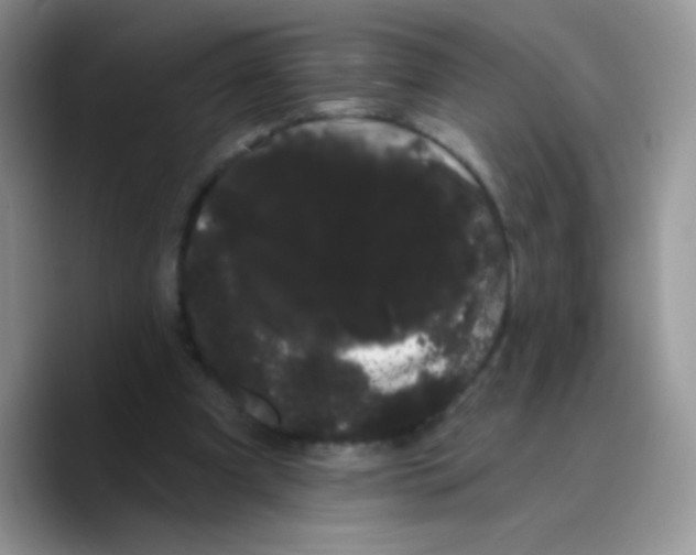 X0000089760297200707201948