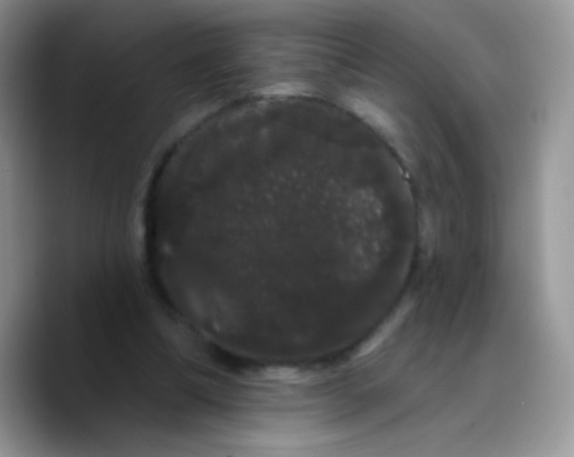 X0000089760298200707201948