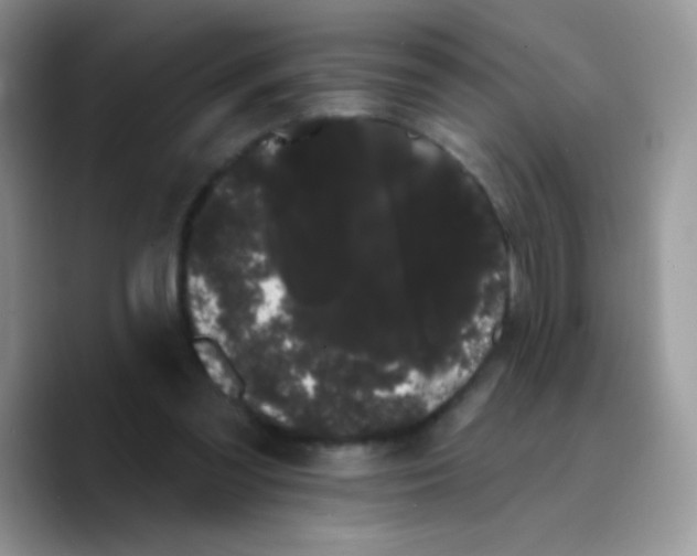 X0000089760301200707201948