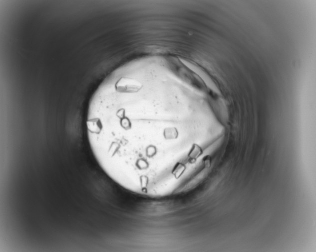X0000089760303200707201948