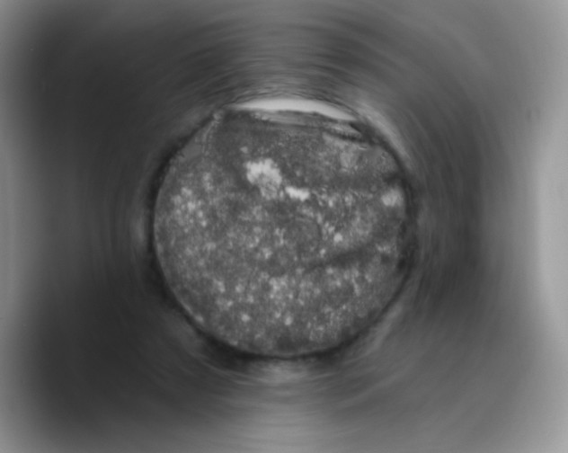 X0000089760305200707201948