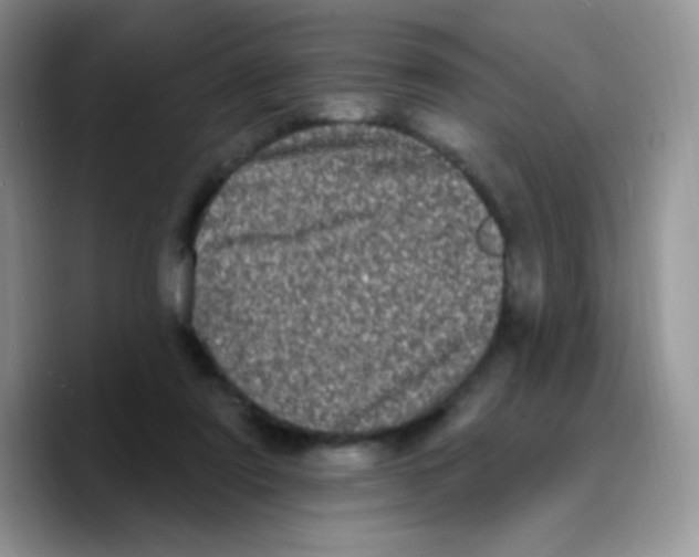 X0000089760307200707201948