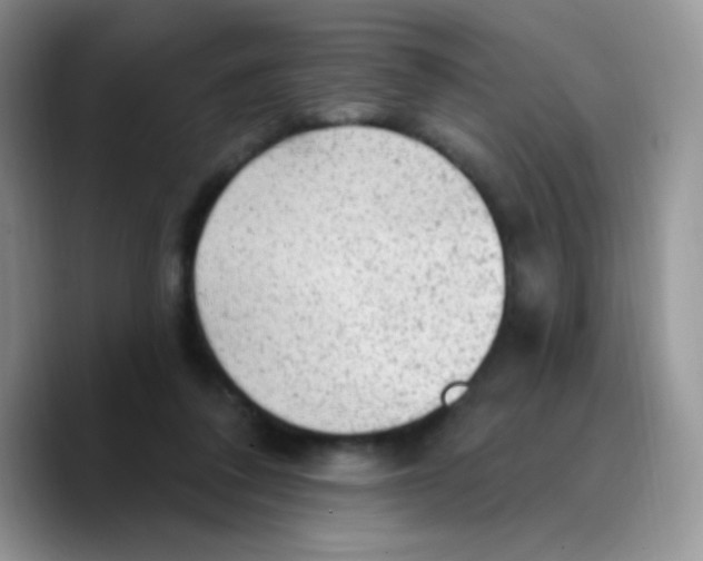 X0000089760308200707201948