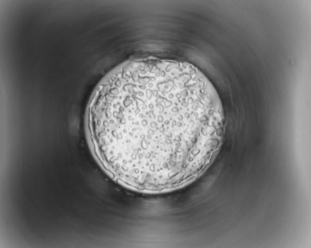 X0000089760309200707201948
