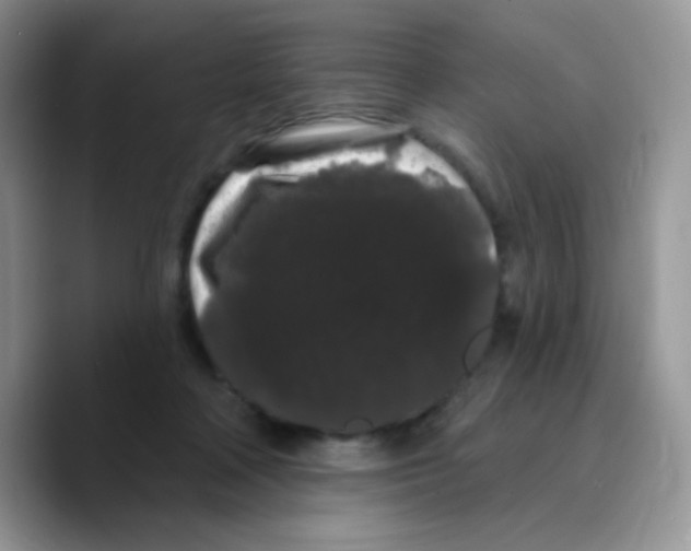 X0000089760314200707201947