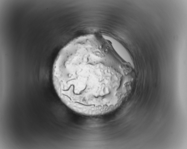 X0000089760315200707201947