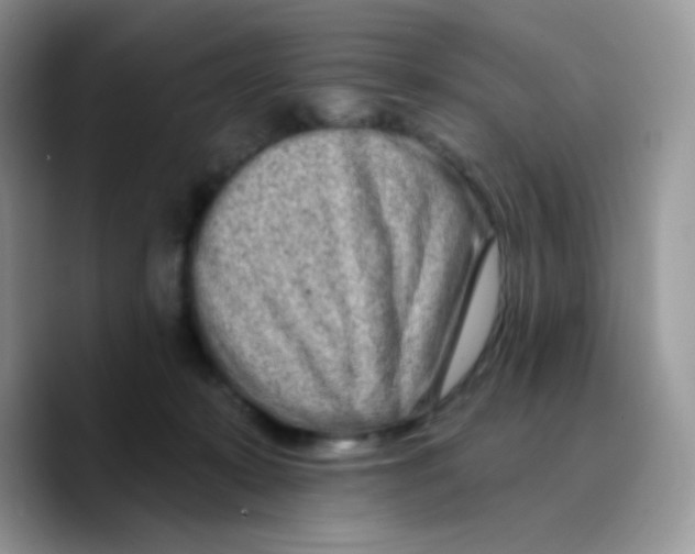 X0000089760319200707201947