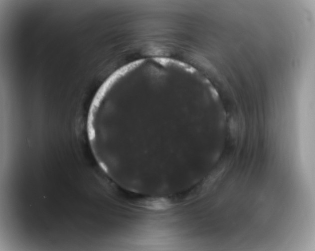 X0000089760322200707201947