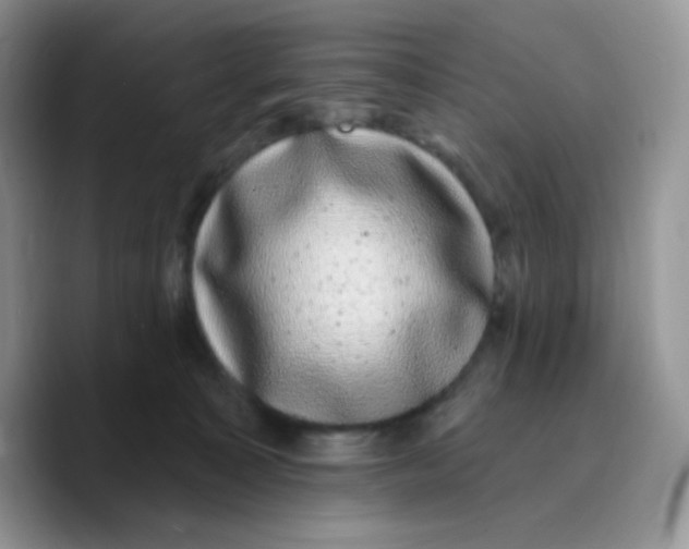 X0000089760323200707201947