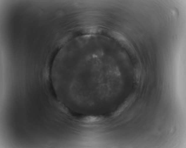 X0000089760326200707201947