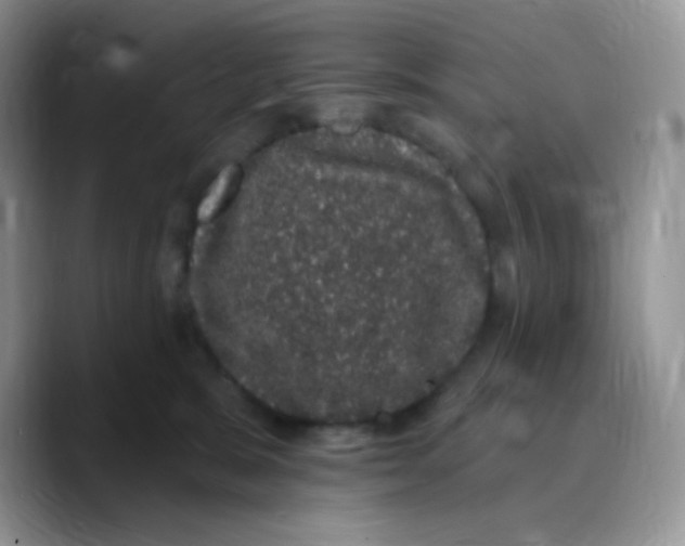 X0000089760327200707201947