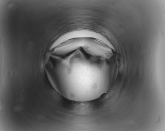 X0000089760329200707201947