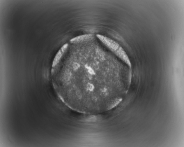X0000089760330200707201947