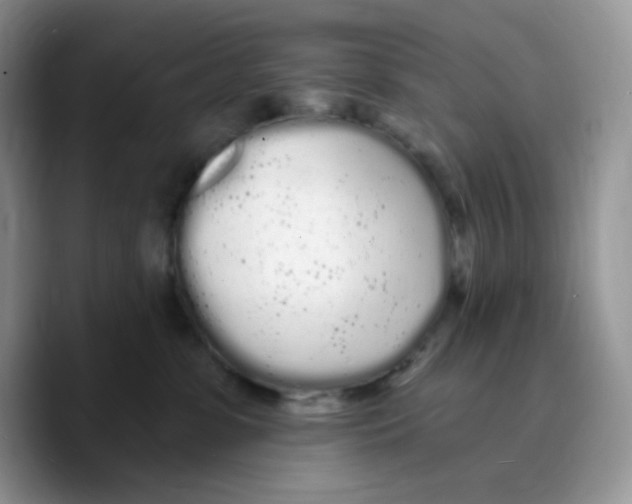 X0000089760331200707201947