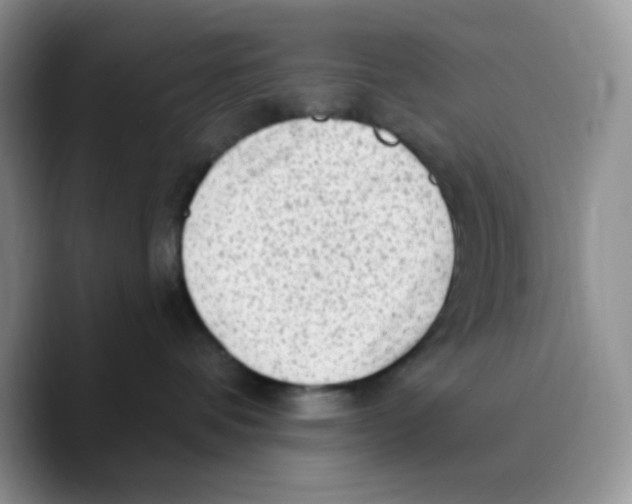 X0000089760336200707201947