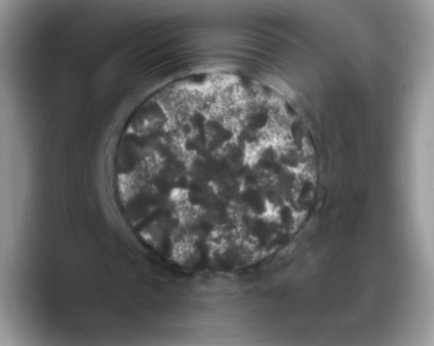 X0000089760337200707201947