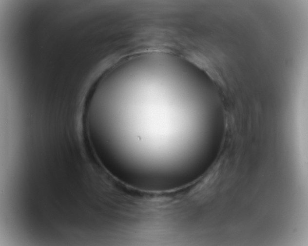 X0000089760340200707201947