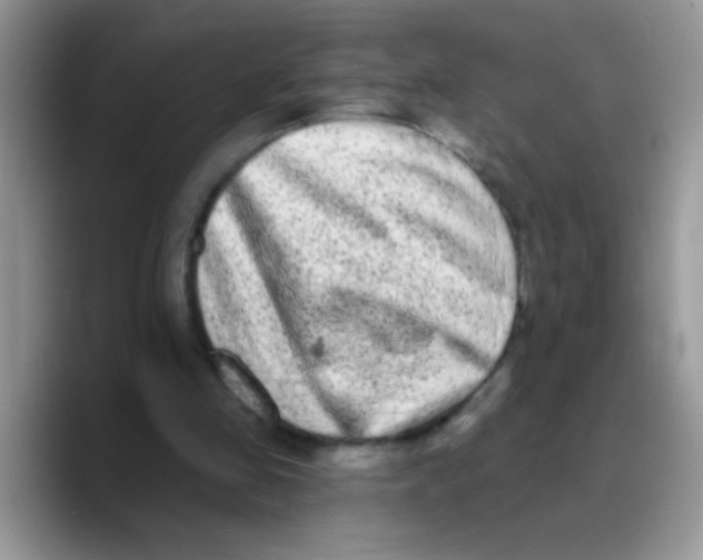 X0000089760341200707201947